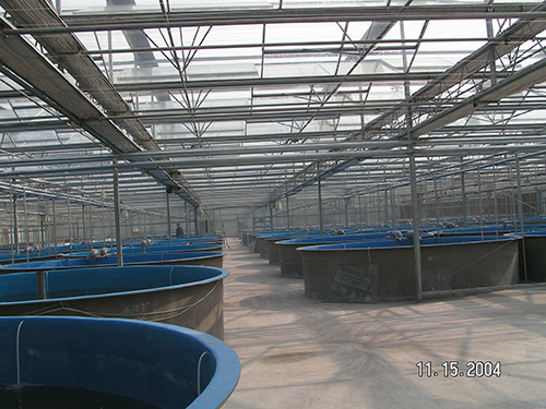水产养殖温室