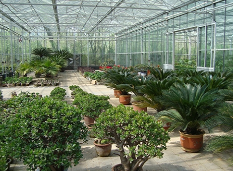 与传统的种植方式相比，温室大棚有哪些优势？